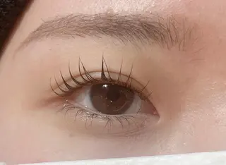 マツエク・マツパ Lucy MANAMIのマツエク・マツパデザイン