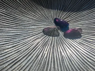 ネイル NINEnami ニュアンスネイルのネイルデザイン