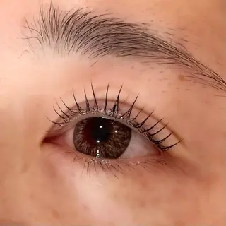 マツエク・マツパ Celeste Venus所属・🧸Celeste Venusのマツエク・マツパデザイン