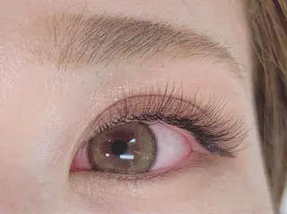マツエク・マツパ elua eyelash所属・elua eyelashの眉毛・アイブロウイメージ