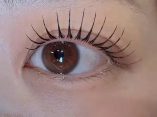 マツエク・マツパ Max eyelash池袋のマツエク・マツパデザイン