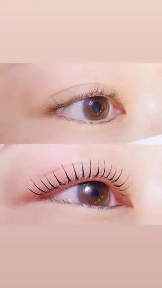 マツエク・マツパ ロニセラ アイラッシュのマツエク・マツパデザイン