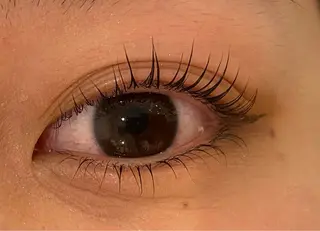 マツエク・マツパ Daisy lash 京橋店堀井のマツエク・マツパデザイン