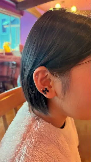 B.napus/mimi2bo所属・B.napus Nanohaのその他イメージ