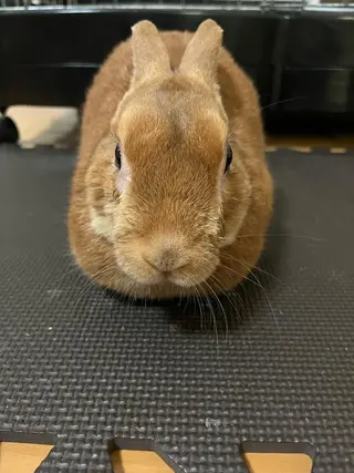 Sona hair & eyelash salon所属・紙屋 隼人のヘアスタイル