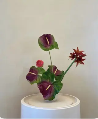 マツエク・マツパ eyelly🌿 nanaのマツエク・マツパデザイン