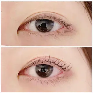 マツエク・マツパ ｍｉｐｐｙ 🪽のマツエク・マツパデザイン