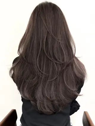 セミロング 山本　尚輝 🐶ハイライト🐶のヘアスタイル