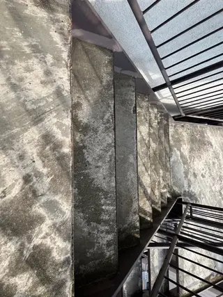 LOOPER所属・mzh ...のネイルデザイン