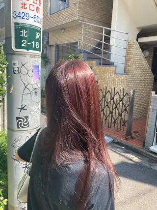 カラー 佐藤 健のヘアスタイル