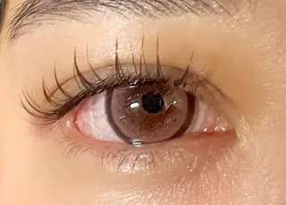 マツエク・マツパ Celeste Venus所属・🧸Celeste Venusのマツエク・マツパデザイン