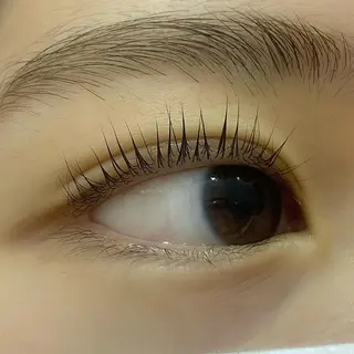 マツエク・マツパ Celeste Venus所属・🧸Celeste Venusのマツエク・マツパデザイン