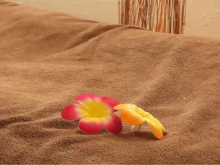 Reizend【ライチェンド】所属・Reizend 🌿 ライチェンドのエステ・リラクイメージ