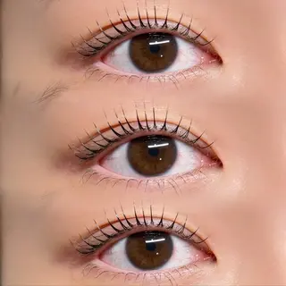 マツエク・マツパ Froom🪷 まりものマツエク・マツパデザイン