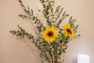 ショート カラー パーマ ヘアアレンジ メンズ キッズ ネイル マツエク・マツパ ニキビ跡専門サロン Ａｉｎａのエステ・リラクイメージ