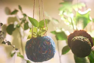 guusca所属・ヘッドスパサロン🫧 ハヤシのヘアスタイル