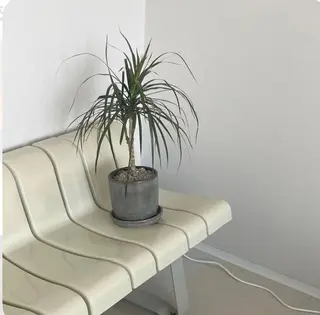 アイブロウ eyelly🌿 nanaの眉毛・アイブロウイメージ