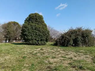 千の樹所属・久保・女性専用 美咲のエステ・リラクイメージ