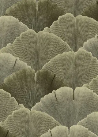 マツエク・マツパ 🦋MaaZlash 南流山FUKA🤍のマツエク・マツパデザイン