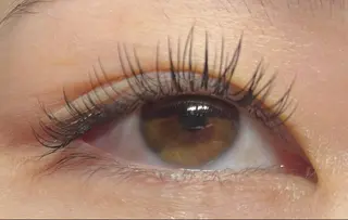 マツエク・マツパ princess 森 碧海のマツエク・マツパデザイン