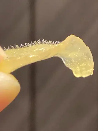 DARS.WE 渡邉りえのエステ・リラクイメージ