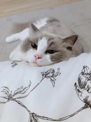 ネイル USAMiMi 🐰💕のネイルデザイン