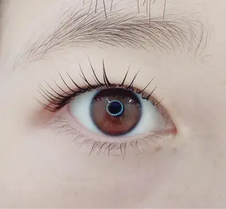 マツエク・マツパ TIARA池袋西口店 店長YASUKA💐のマツエク・マツパデザイン