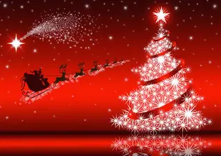 YOSAPARK ROSE  国分寺のエステ・リラクイメージ