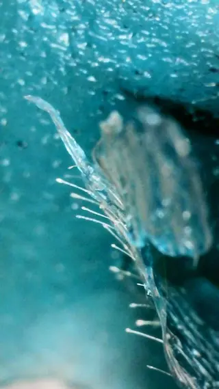 🅖🅤🅩🅔🅛 salonのエステ・リラクイメージ