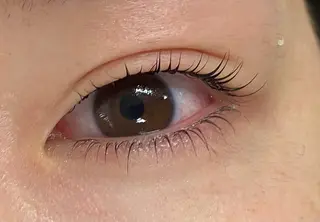 マツエク・マツパ Daisy lash 京橋店堀井のマツエク・マツパデザイン