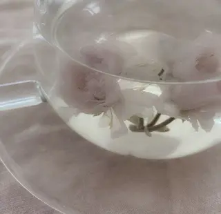 TAKAHASHI 🎀✨韓国風/束感のマツエク・マツパデザイン