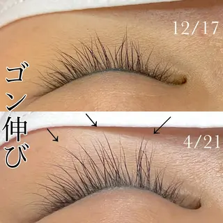 マツエク・マツパ Pua Meliaのマツエク・マツパデザイン