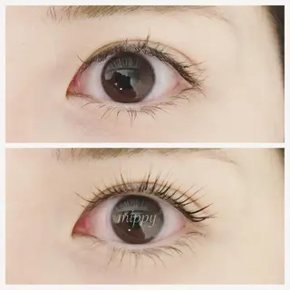 マツエク・マツパ ｍｉｐｐｙ 🪽のマツエク・マツパデザイン