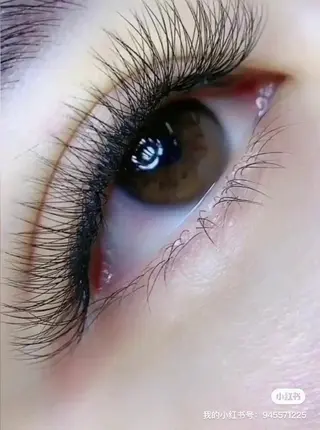 マツエク・マツパ AI eyelash ルナのマツエク・マツパデザイン
