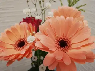 angelux 所属・完全個室サロン🌹 angelux🌹のマツエク・マツパデザイン