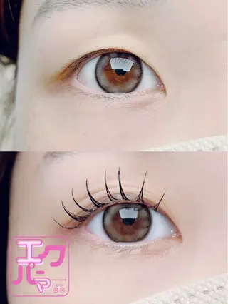 マツエク・マツパ Eyelash  Salon  Camellia所属・カメリア ワダのマツエク・マツパデザイン