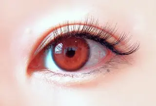 マツエク・マツパ IVY staff ⭐︎のマツエク・マツパデザイン