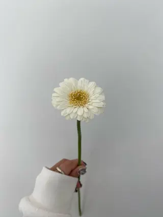 🌻花屋併設🌻濱 幸帆のヘアスタイル