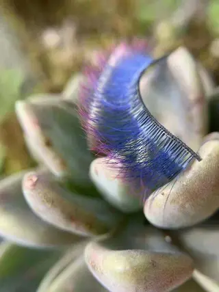 マツエク・マツパ 胡蝶蘭レディースサロン所属・胡蝶蘭レディースサロ ン眉マツパエクステの眉毛・アイブロウイメージ