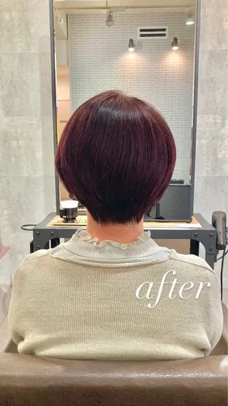 ショート ぱく みやんのヘアスタイル