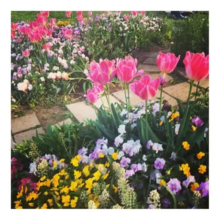 かみじょう ゆうこのヘアスタイル