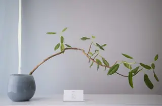 IDEA所属・IDEA イデアのエステ・リラクイメージ