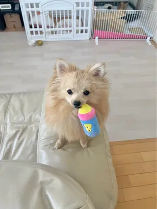 Sona hair & eyelash salon所属・紙屋 隼人のヘアスタイル