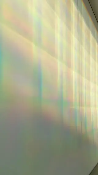 カラー パーマ 和田 あおいのヘアスタイル