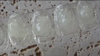 ネイル Gatto所属・Gatto(ガット) ヤマモトのネイルデザイン