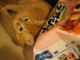 ネイル kiki nail 二子玉川のネイルデザイン