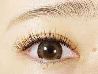 マツエク・マツパ セレビアイ 新越谷店のマツエク・マツパデザイン