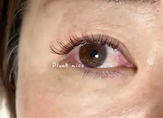 マツエク・マツパ Plume micoのマツエク・マツパデザイン