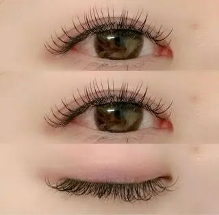 マツエク・マツパ PLUS EYE 銀座本店所属・プラスアイ銀座本店 🥀RIHO🥀のマツエク・マツパデザイン