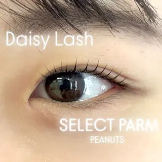 マツエク・マツパ Daisy Lash たかとり みうのマツエク・マツパデザイン